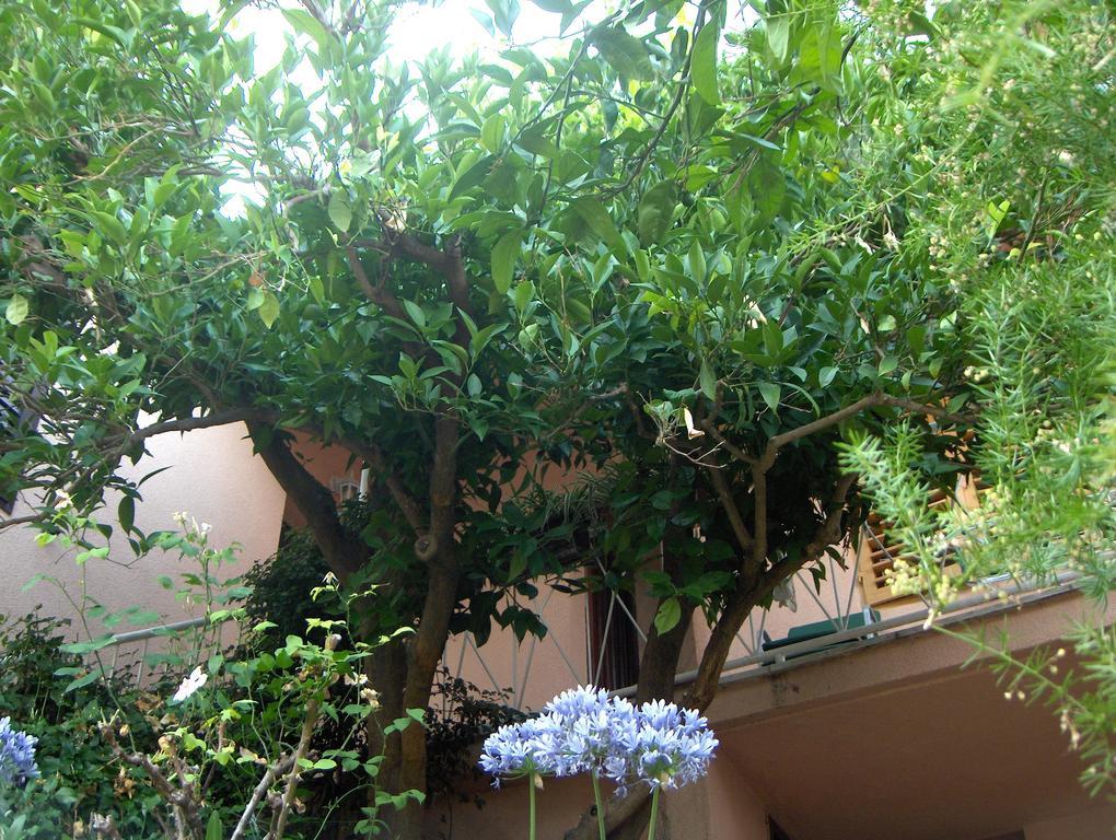 Guest House Roza Vrboska Δωμάτιο φωτογραφία
