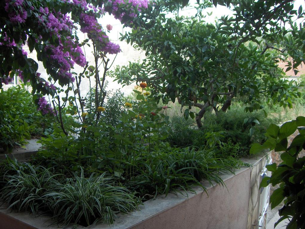 Guest House Roza Vrboska Δωμάτιο φωτογραφία