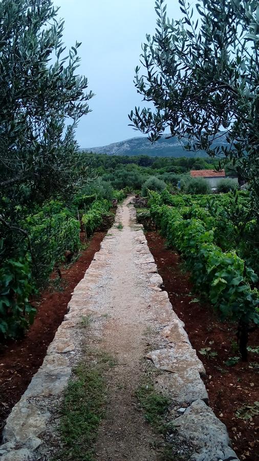 Guest House Roza Vrboska Εξωτερικό φωτογραφία