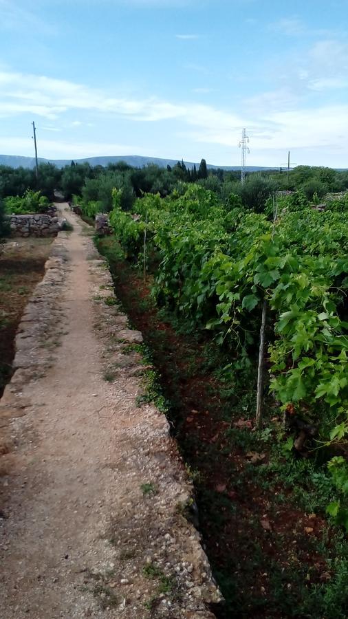 Guest House Roza Vrboska Εξωτερικό φωτογραφία