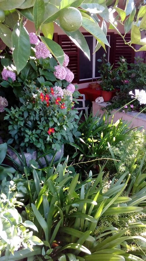 Guest House Roza Vrboska Εξωτερικό φωτογραφία