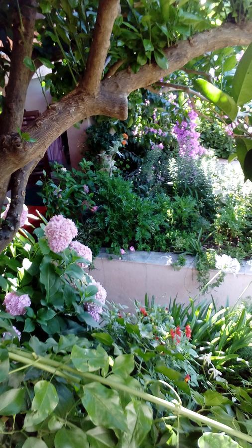 Guest House Roza Vrboska Εξωτερικό φωτογραφία