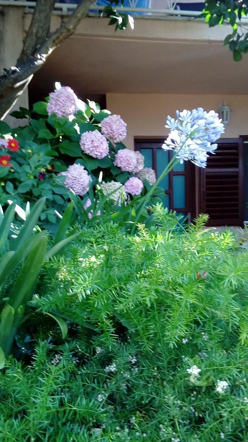 Guest House Roza Vrboska Εξωτερικό φωτογραφία